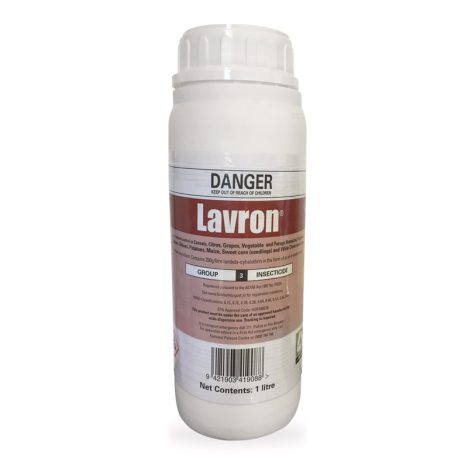 1L Lavron